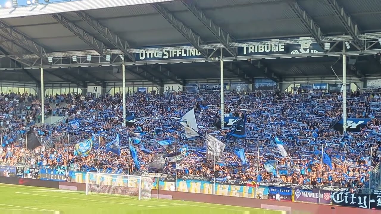 ⚽ Best of Saison 2024/25 | 🏟️ 3.Liga | 🔵⚫ SV Waldhof Mannheim #groundhopping