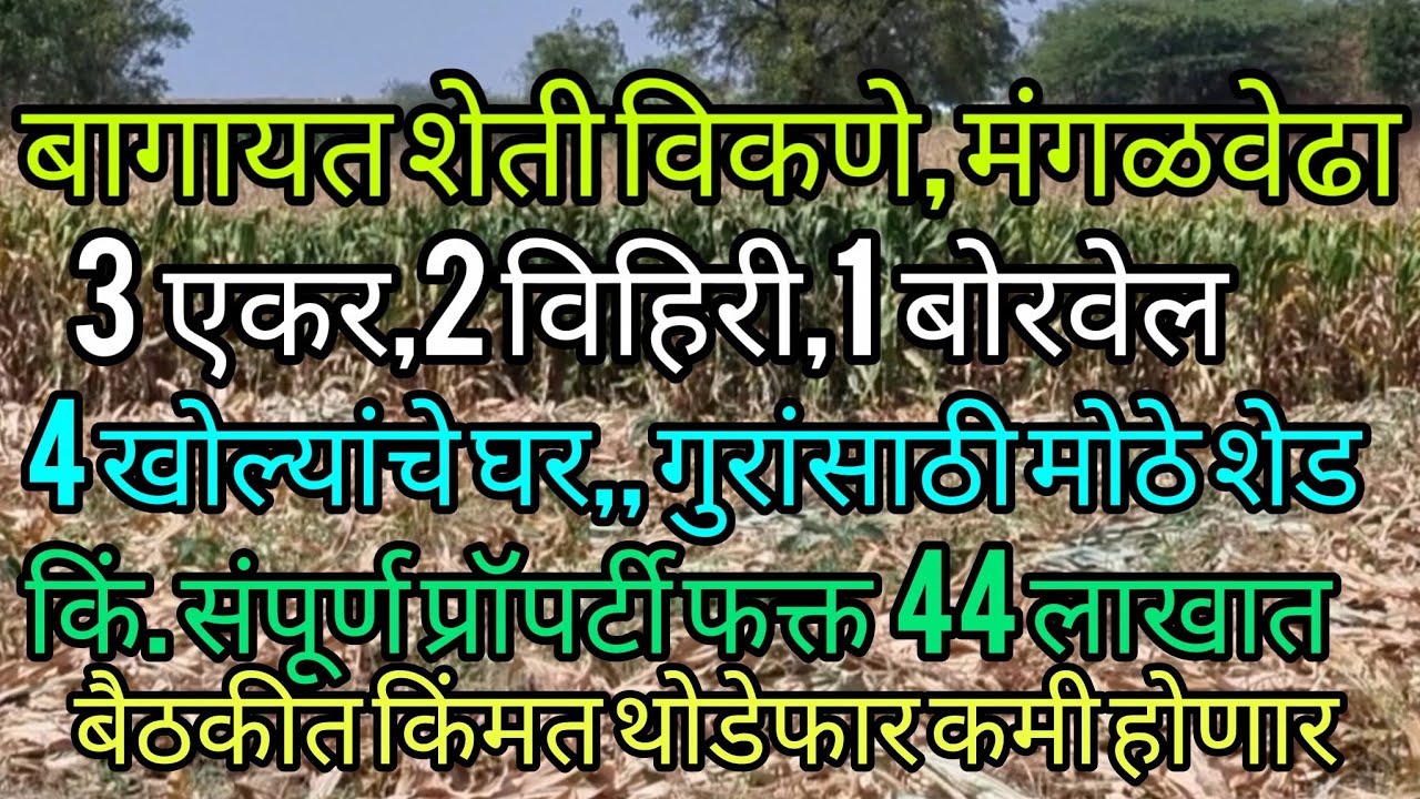 तीन एकर बागायत शेती विकणे तालुका मंगळवेढा,