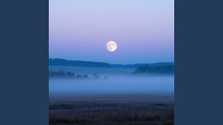 The Moon Stayed Up For Us