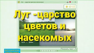 Луг -царство цветов и насекомых