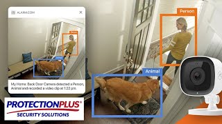 Alarm.com Smarter Remote Dog Walker | PROTECTION PLUS
