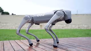 Introducing Unitree Go2 - Quadruped Robot of Embodied AI from $1600