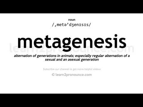 Произношение метагенез | Определение Metagenesis