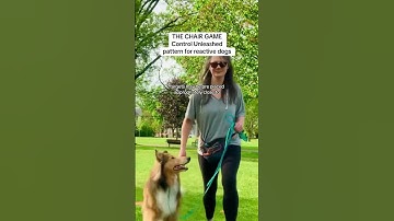 The Chair Game: Control Unleashed Pattern Game for Reactive Dogs