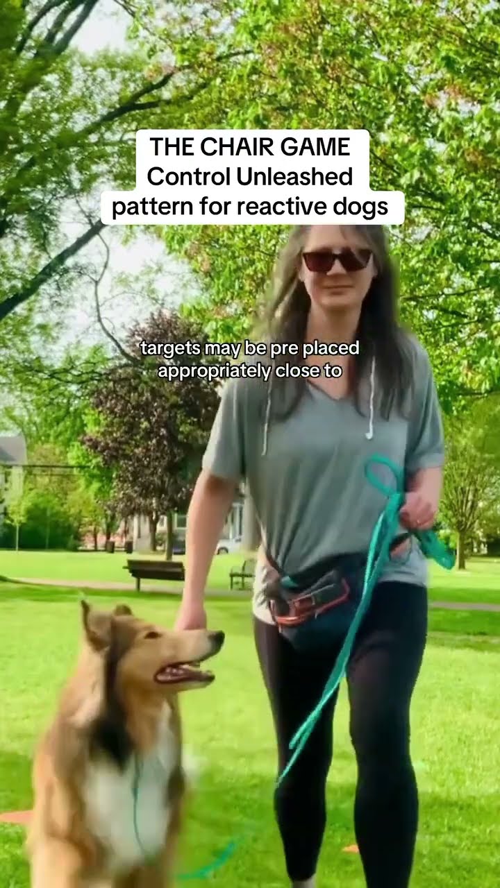 The Chair Game: Control Unleashed Pattern Game for Reactive Dogs