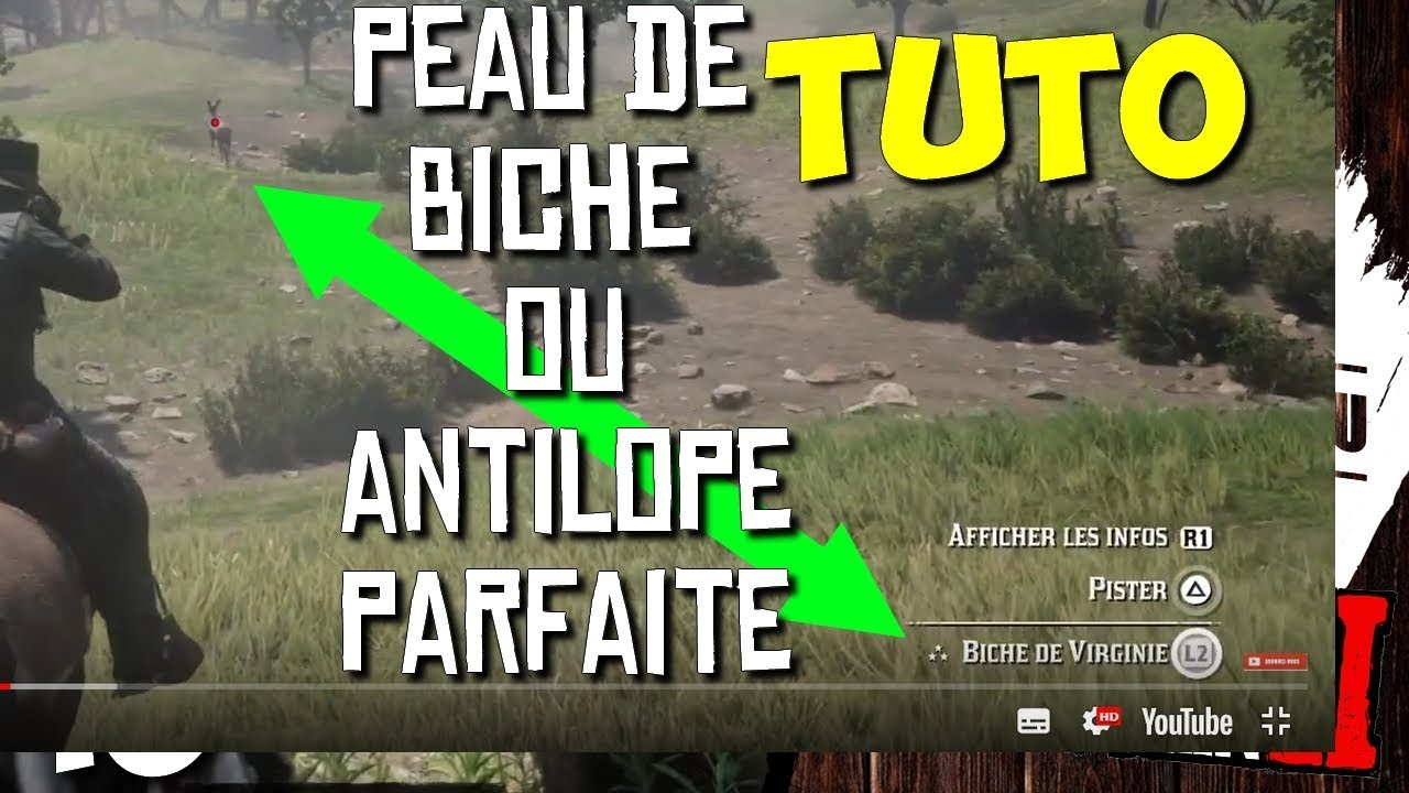 TUTO: PEAU DE BICHE/ ANTILOPE 3 ETOILES PARFAITE - RED DEAD REDEMPTION ...