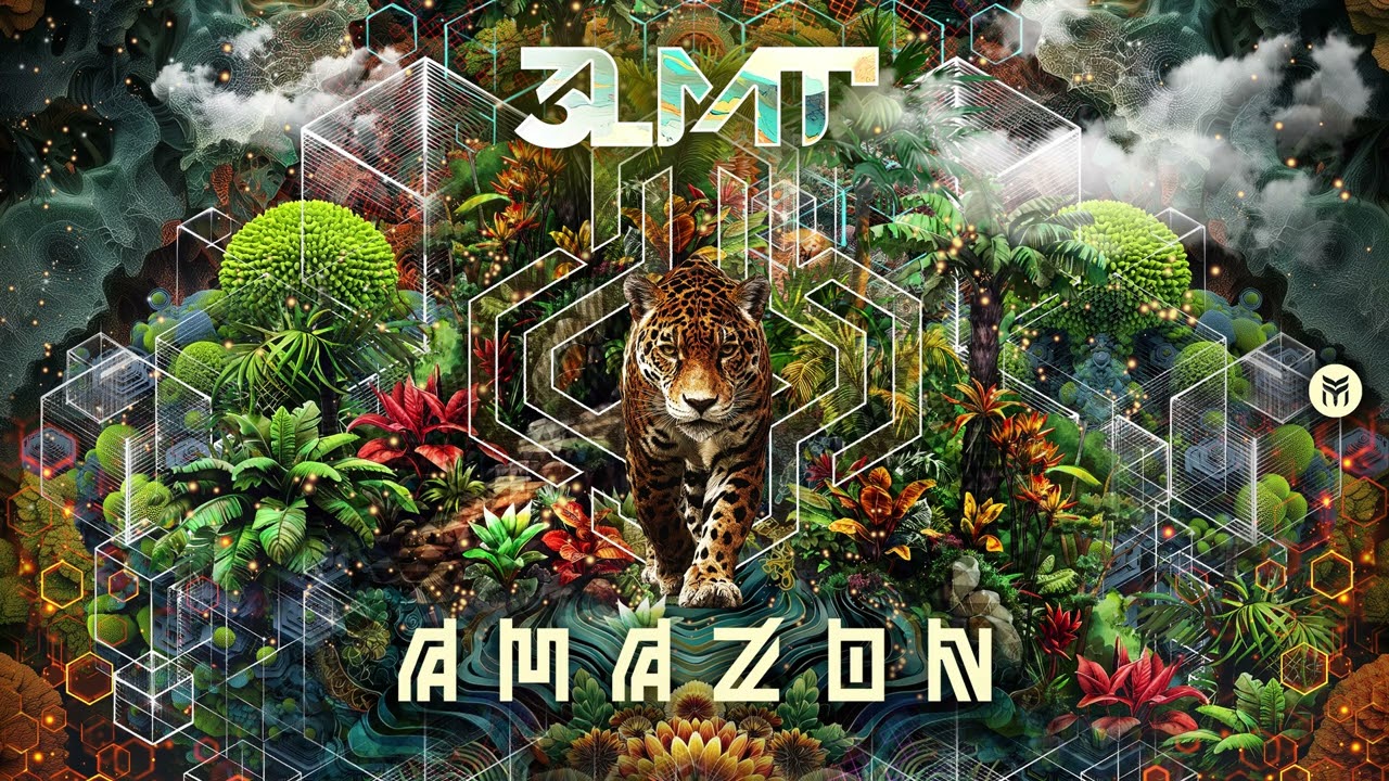 3LMT - Amazon