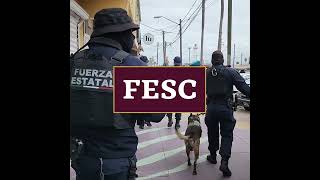 Fesc - Resúmen De Actividades 23 Al 28 De Abril