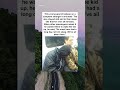 This young guy fell asleep on a complete stranger's shoulder