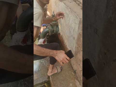 انفوس الاغواط