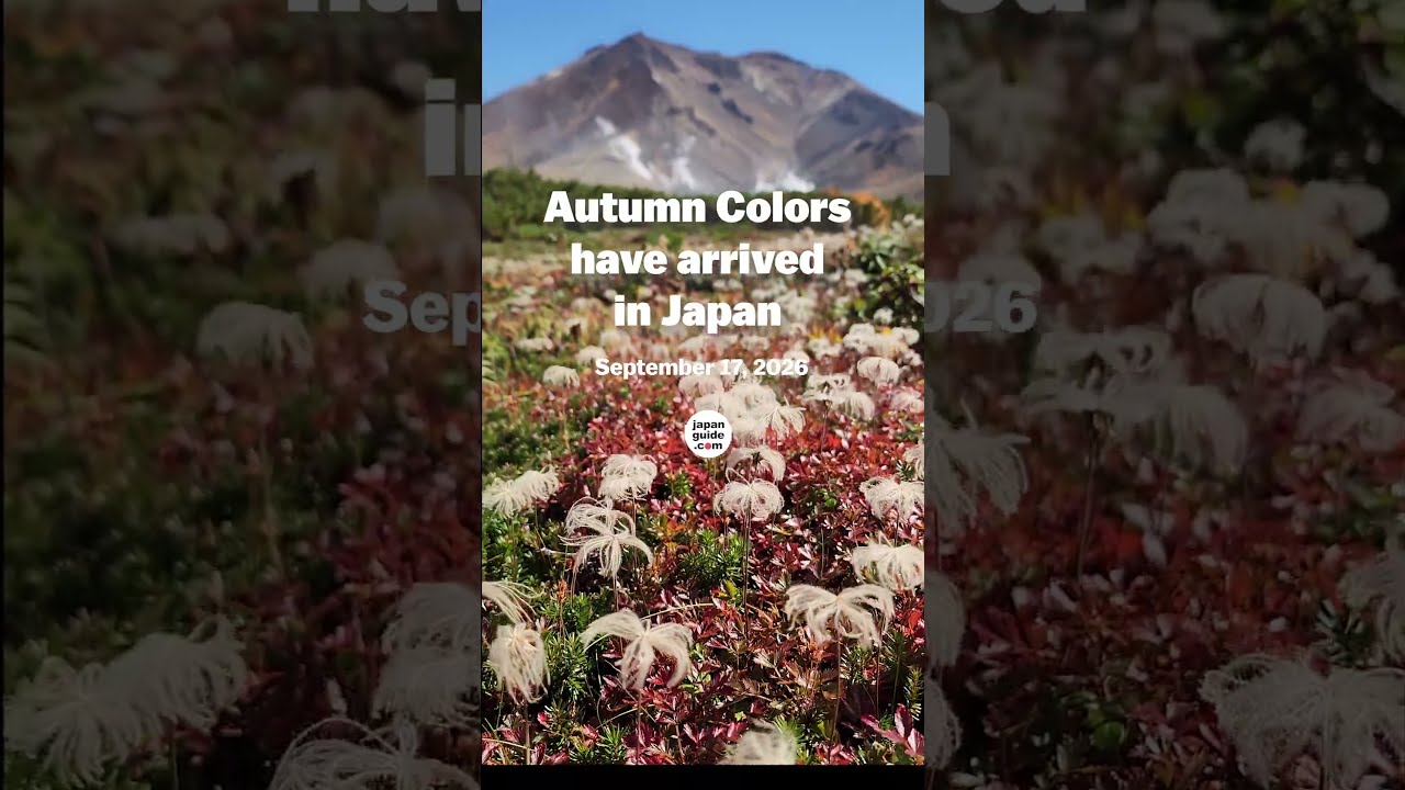 Autumn colors have arrived in Japan | Daisetsuzan Report - YouTube