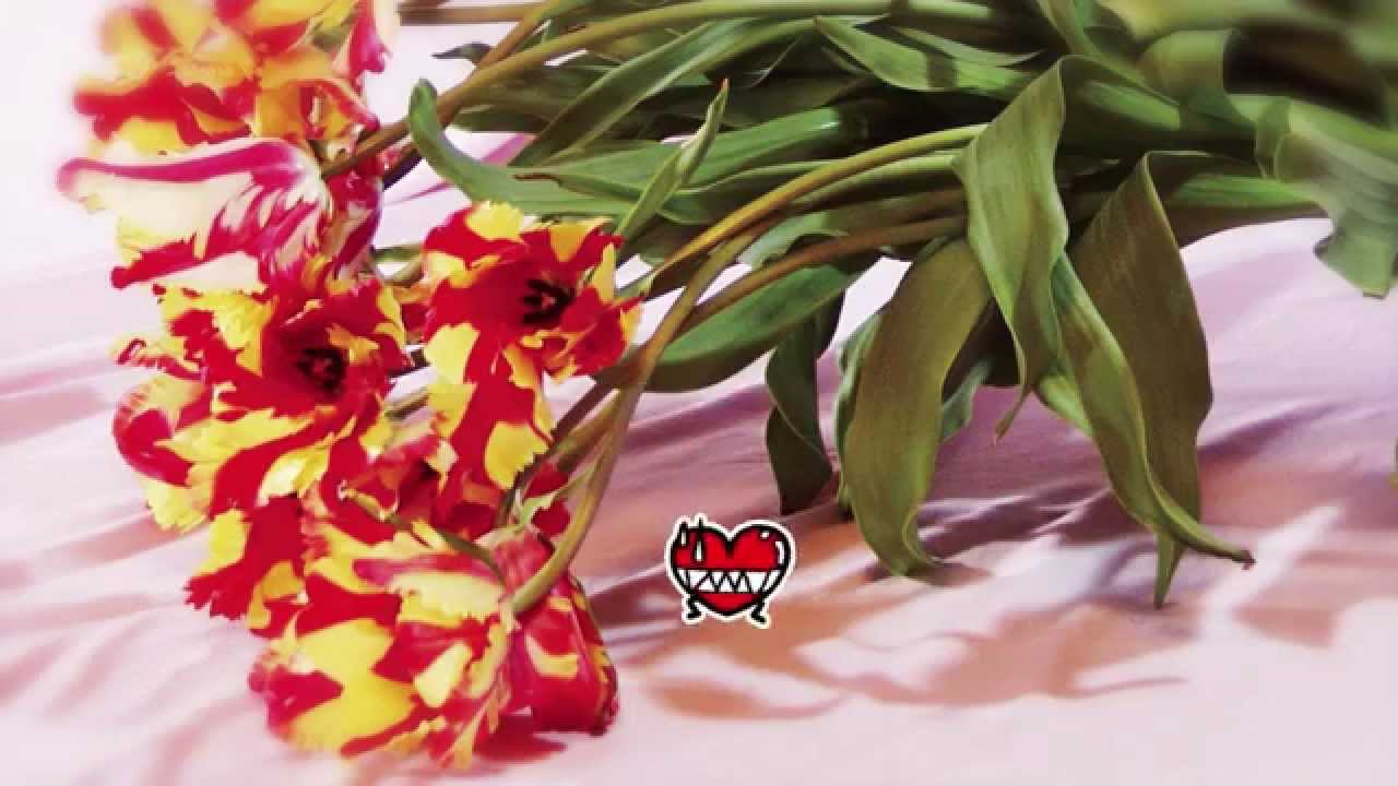 COSMIC CUTE『love,VAMPIRE FLOWERS』ティザームービー