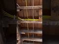 WOW Clean Electrical Wiring Technique Most DIYers Miss #diy #electrical #wiring