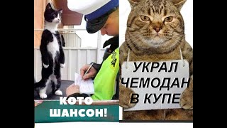 🐱Шансон_ Ехал Поезд № 8 Ереван - Баку🎵🎼Chanson cats!🐱😊
