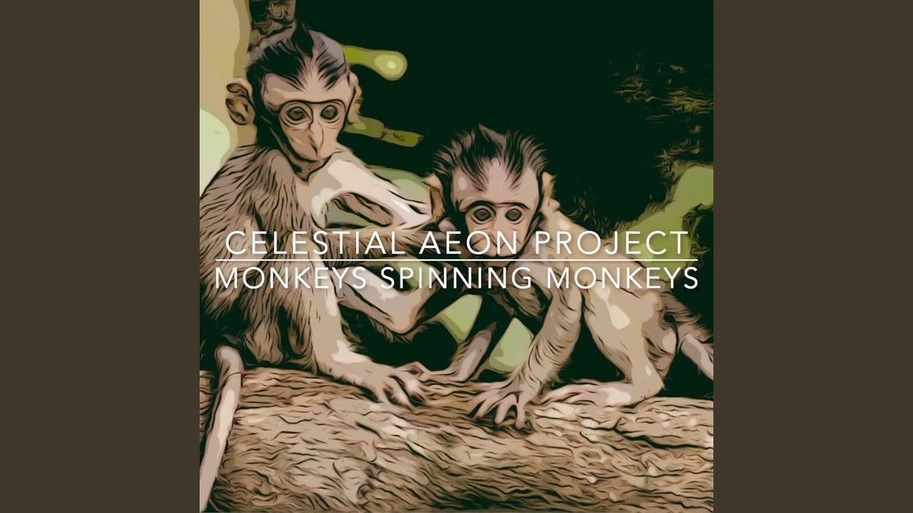 Monkeys Spinning Monkeys (Really Fast) YouTube