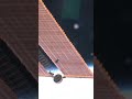 ISS Sat Deploy
