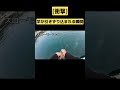 [衝撃]　竿が引きずり込まれる…　#shorts  #衝撃映像　 #マグロ 　＃水宝