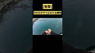[衝撃]　竿が引きずり込まれる…　#shorts  #衝撃映像　 #マグロ 　＃水宝