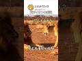 パパはみんな怒られる