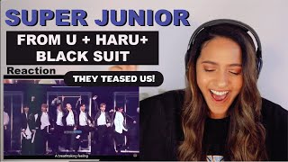 Super Junior - From U   Haru   Black Suit (LIVE) | REACTION!!