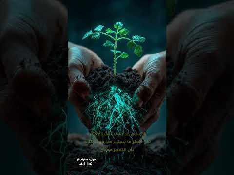 أخطر ما يسلب من الإنسان