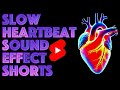 Slow Heartbeat Sound Effect SHORTS - Sound Effect