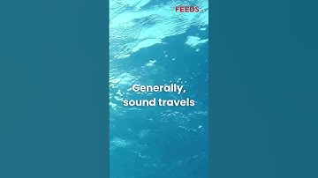 Sound travels 4 times faster in water than it does through air