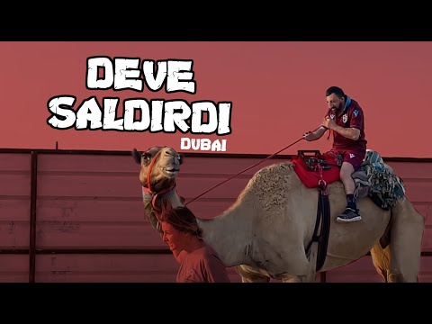 Deve Köksal Babaya saldırdı - Dubai