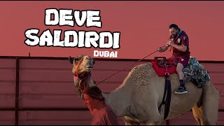 Deve Köksal Babaya saldırdı - Dubai