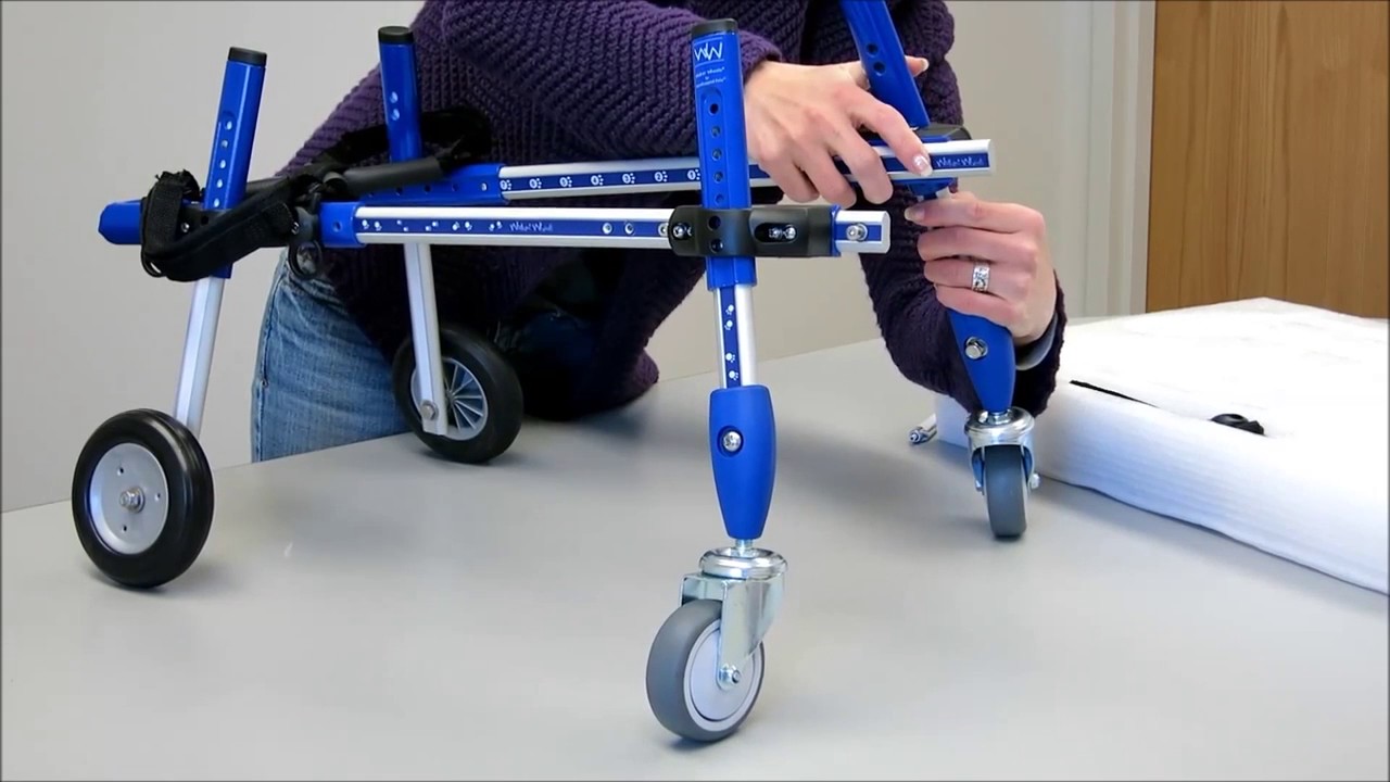 Small Front Wheel Attachment to the Walkin' Wheels Dog Wheelchair