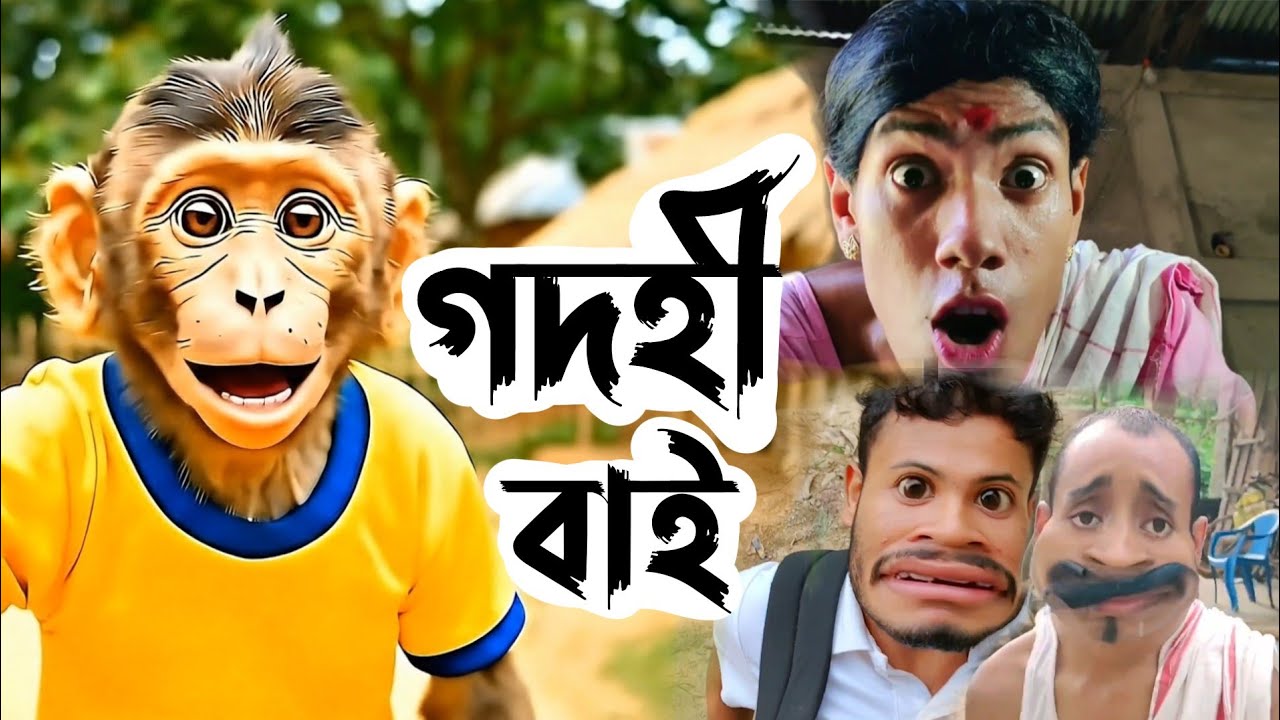 আহি গ'ল ‘গদহী বাই' 😜 | Godohi Baai Bandor Bhokot | Assamese Monkey Video