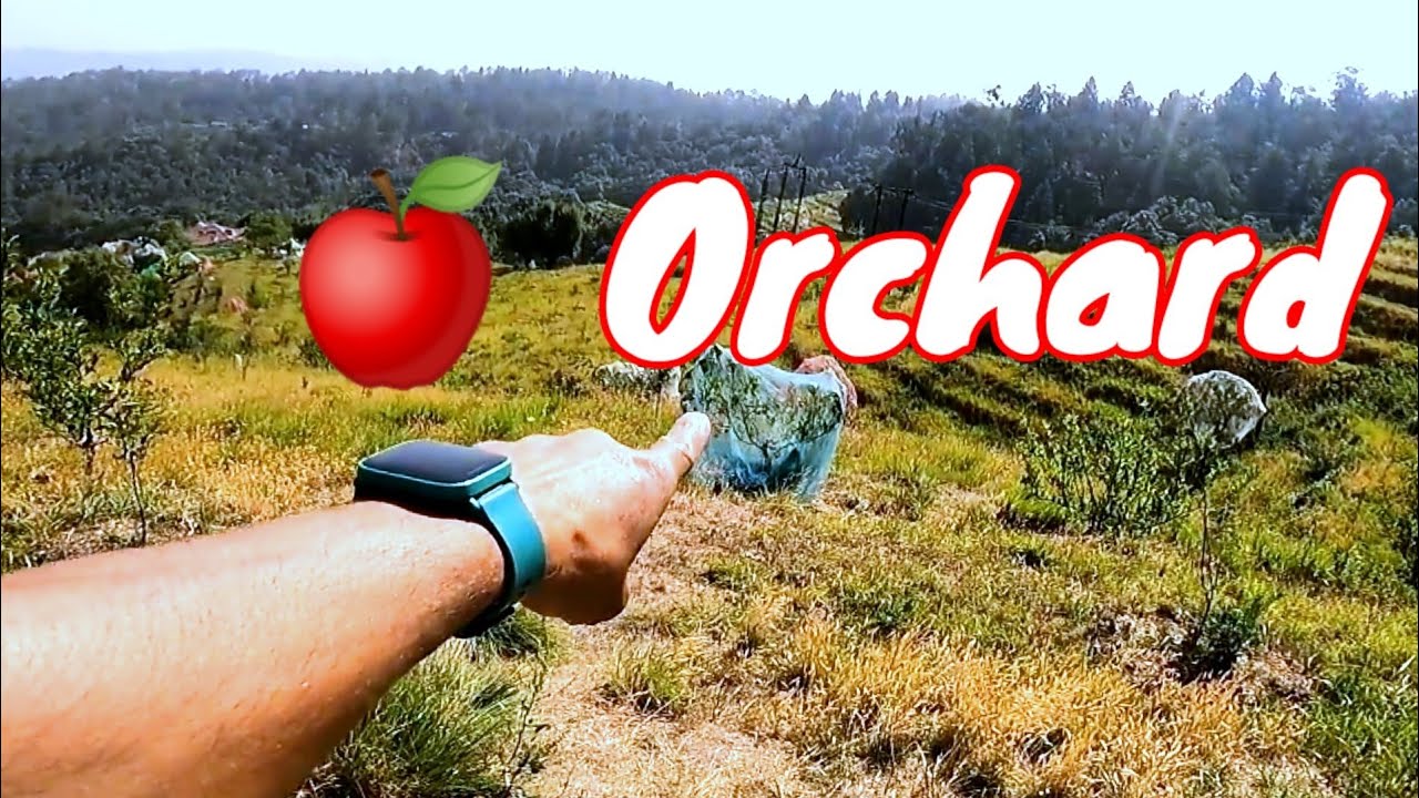 Asia's Biggest 🍎 Apple Garden Chaubatia Garden Ranikhet