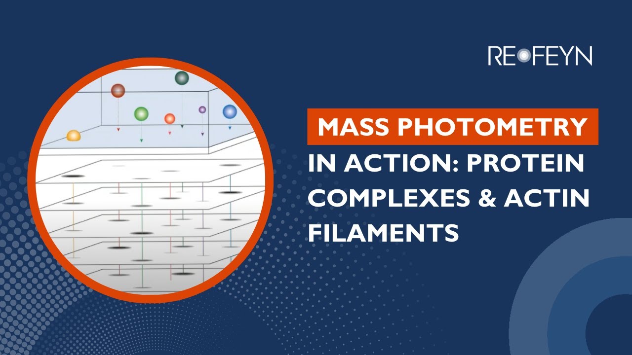 Exploring Mass Photometry Applications: Protein Complexes & Actin Filament Nucleation