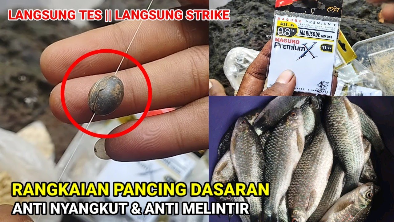 rangkaian pancing dasaran anti nyangkut dan anti melintir || langsung tes di sungai