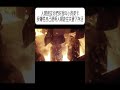 人類朋友你們好,我叫小狗萊卡,我犧牲自己證明人類能在失重下存活#科普 #漲知識