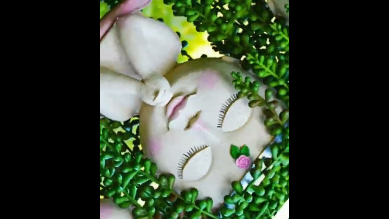🌸My Secret Fairy Garden Face Head Planters Fun🌸