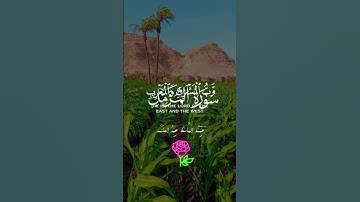 روائع الشيخ عبدالباسط عبدالصمد اللهم اجعل القرآن الكريم ربيع قلوبنا #اكسبلور #المصحف #تصويري
