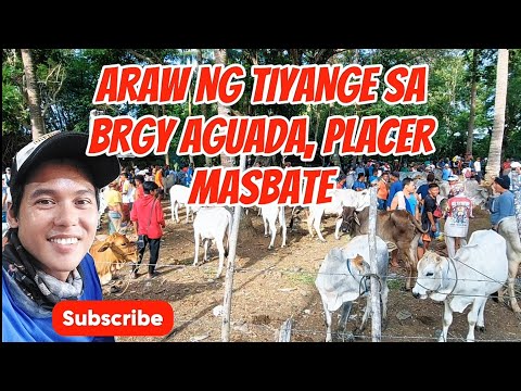Brgy Aguada, Placer Masbate. 