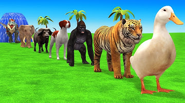 Long Slide Game With Cow Elephant Gorilla Hippopotamus Tiger - 3d Animal Game - Funny 3d Animals
