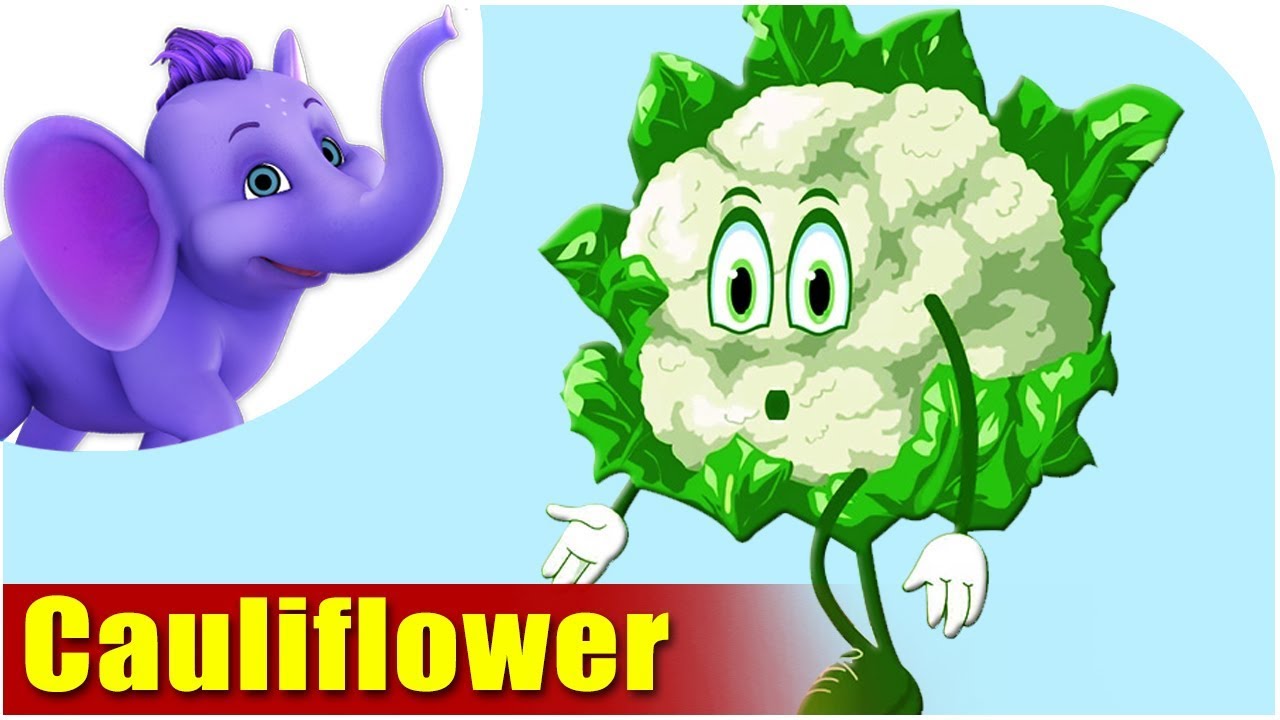 Phool Kobee (Cauliflower) Vegetable Rhymes in Marathi YouTube