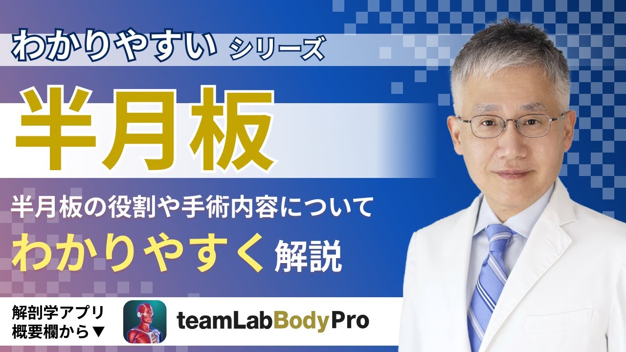 Meniscus explanation [Easy-to-understand explanation by a doctor