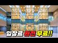서울에서 50분?! 직통버스로 편하게! 100만 개 유물과 이국적인 낙원이 공존하는 당일치기 예술마을 여행