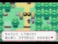【改造ポケモン】デネブ実況プレイ　いざ新世界へ！part10