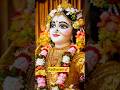 Radharani 💞🙏 #shorts #radha #shortvideo #viralshorts