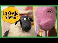 Temporada 1 Compilación 3 Dibujos Animados Para Niños La Oveja Shaun