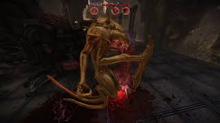 EVOLVE LEGACY - THE GOLDEN WRAITH #34 (No Commentary)