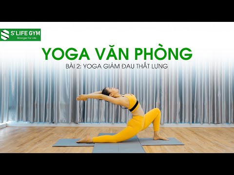 Yoga Văn Phòng