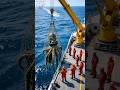 Octopus Stuck in Tire: Rescue Mission! #shorts #viral #animals #octopus