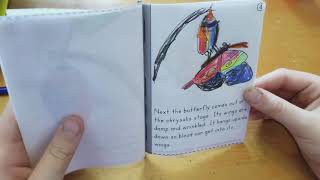 Butterfly Life Cycle Book from Super Teacher Worksheets