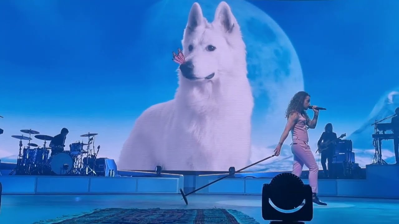 Julien Doré - Waf - Zénith de Dijon